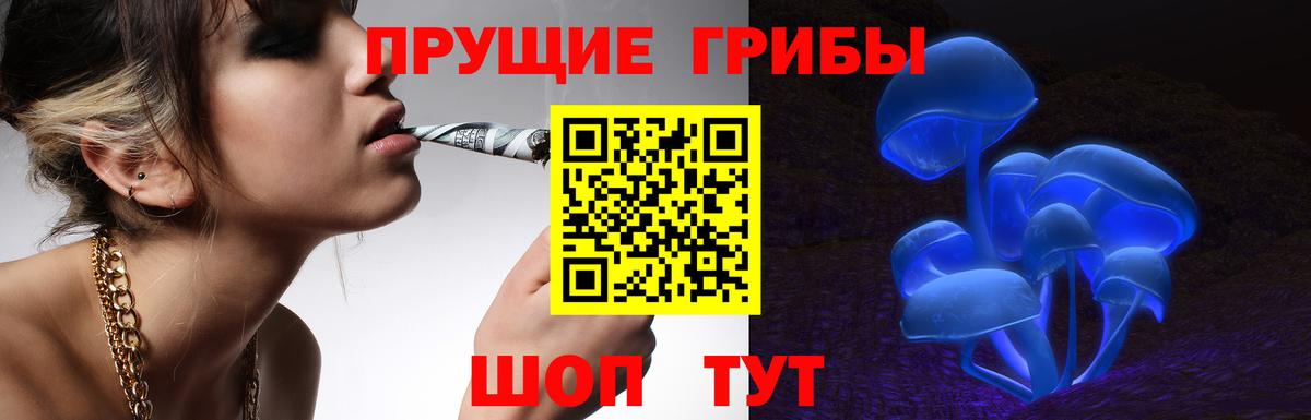Псилоцибиновые грибы Magic Shrooms  Вход с VPN  Обнинск  Псилоцибиновые грибы MAGIC MUSHROOMS 